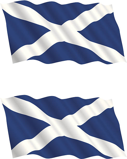 Scottish Flag Flying in the Wind These Scottish flag images would make an excellent patriotic graphic or backdrop. There are 2 different styles of flags. The top image being a matte finish and the other satin. scottish flag stock illustrations