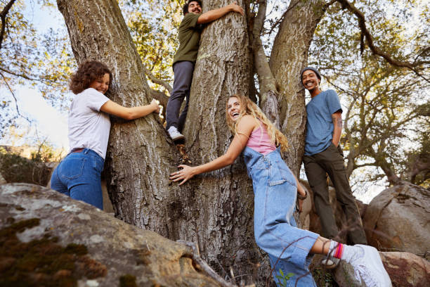 Laughing group of diverse friends hugging a tree together outdoors Laughing group of diverse young friends hugging a large tree while enjoying a sunny day walk together in the forest hugging tree stock pictures, royalty-free photos & images
