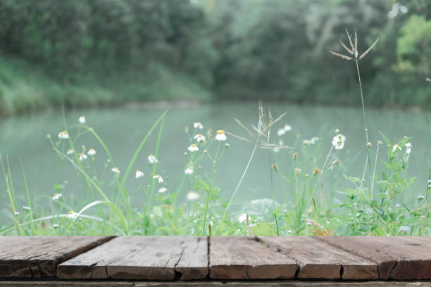 istock white grass flower beside pond lake 1182143624