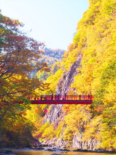 istock Jozankei in late autumn 1182148186