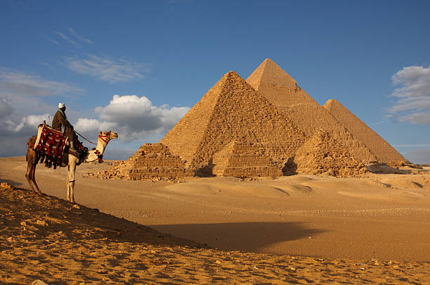 piramidi beduino - egypt camel pyramid shape pyramid foto e immagini stock