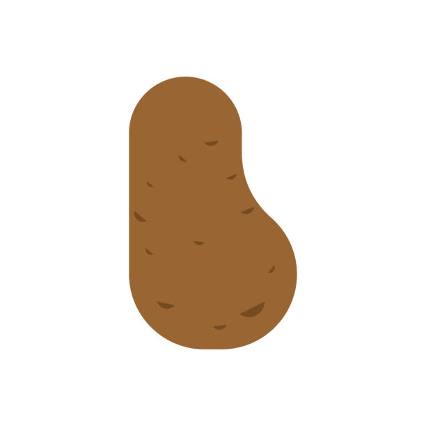 Ilustración de Patatas Aisladas Verdura De Dibujos Animados Ilustración Vectorial De Alimentos y más Vectores Libres de Derechos de Agricultura - iStock Ilustración de Patatas Aisladas Verdura De Dibujos Animados Ilustración Vectorial De Alimentos y más Vectores Libres de Derechos de Agricultura - iStock