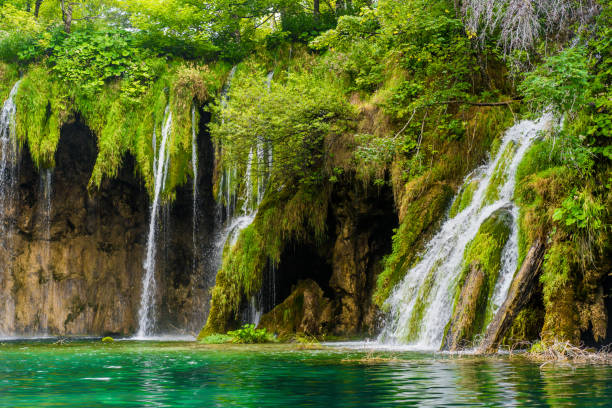 istock Plitvice Lakes National Park 1182150392