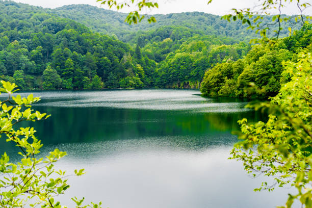 istock Plitvice Lakes National Park 1182150399