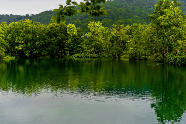 istock Plitvice Lakes National Park 1182150404