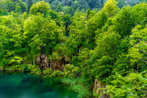 istock Plitvice Lakes National Park 1182150406