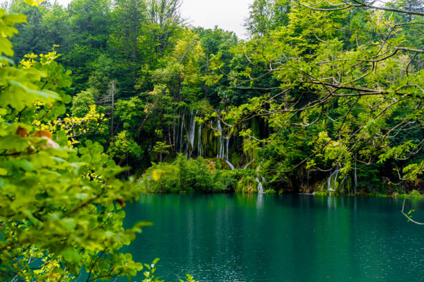 istock Plitvice Lakes National Park 1182150477
