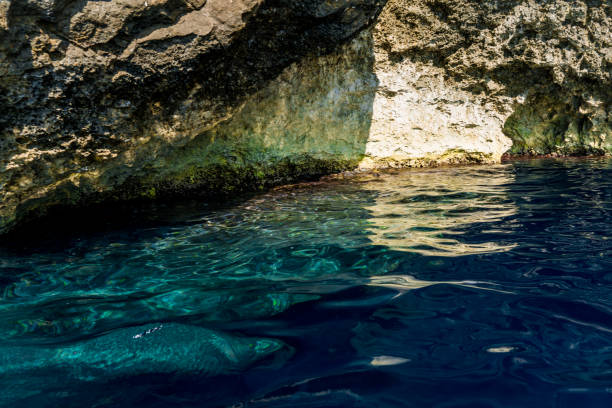 istock blue cave in croatia 1182150635
