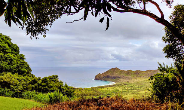 istock Kauai Coastline from Above 1182151611