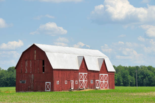 istock Red barn with a white roof on a clear day next to forest 118215273
