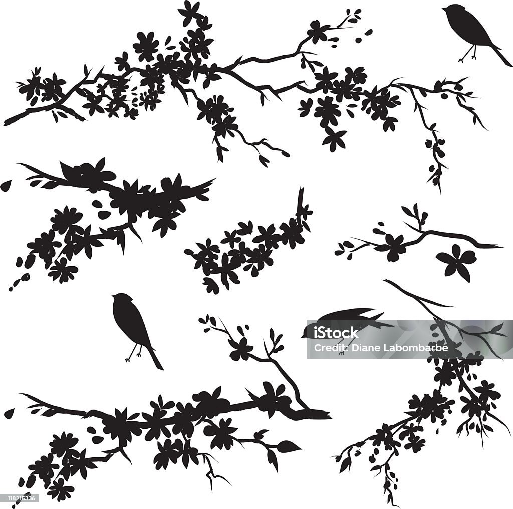 Cherry Blossom Branches in Bloom & Birds Black Silhouette Cherry blossoms Sparrows & Sakura. Three Black Sparrow and Cherry Blossoms Branches Silhouettes. Cherry blossom branches has flowers in bloom.  The cherry Blossom branches and flowers are various sizes. some of the Branches are simple while others are more detailed. Cherry Blossom stock vector
