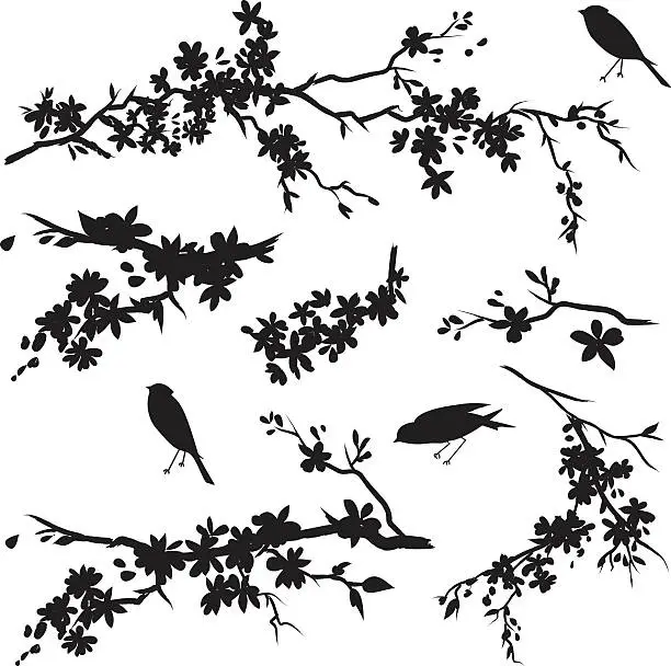 Vector illustration of Cherry Blossom Branches in Bloom & Birds Black Silhouette