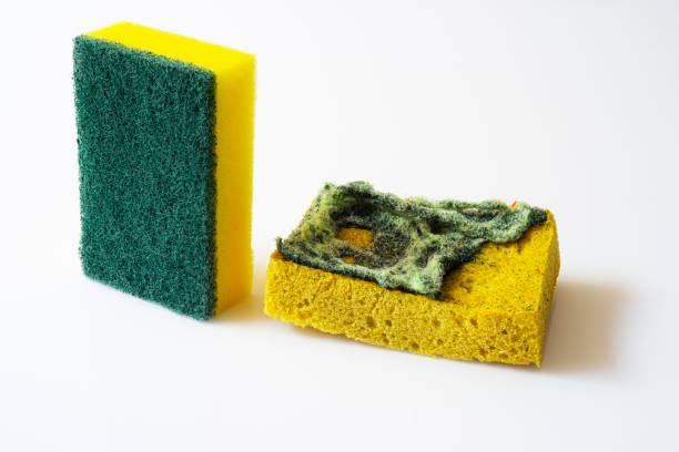 istock Used and new kitchen sponge 1182153935
