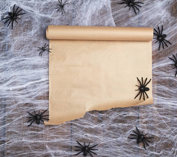 istock roll of untwisted brown paper on a white web and black spiders 1182156416