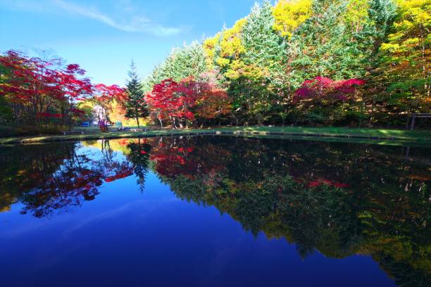 istock Red cherry park that smokes in late autumn 1182159256