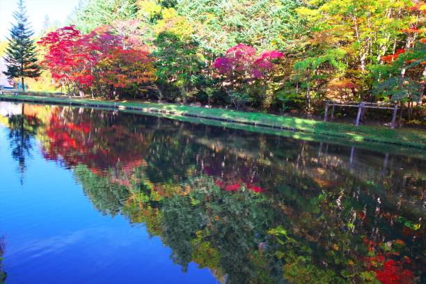 istock Red cherry park that smokes in late autumn 1182159269