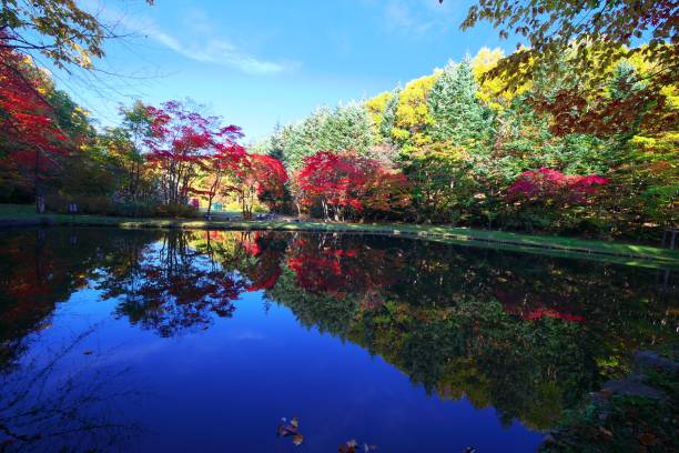 istock Red cherry park that smokes in late autumn 1182159801
