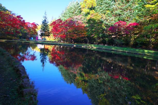 istock Red cherry park that smokes in late autumn 1182159804