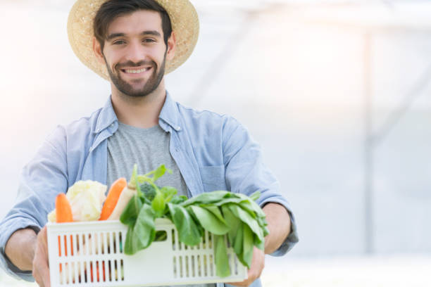 inteligente caucasiano proprietário pequena empresa verde casa hidropônico vetgetable fazenda segurando uma caixa de planta para salada na fazenda - smart casual occupation casual healthy eating - fotografias e filmes do acervo