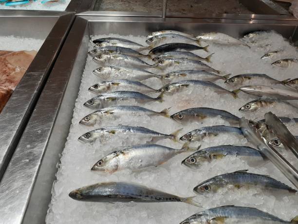 istock Fish From Thai Gulf Open Sea 1182161674