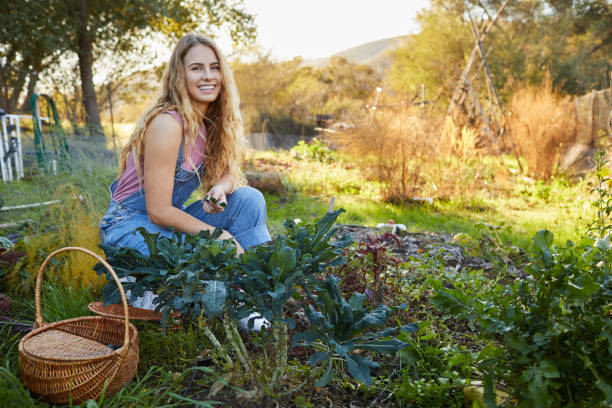 Young woman smiling while working in her organic vegetable garden Portrait of a smiling young woman wearing dungarees kneeling in her organic vegetable garden examining her produce green fingers stock pictures, royalty-free photos & images