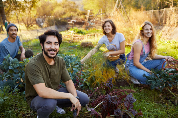 istock Smiling young friends working together in a vegetable garden 1182164821