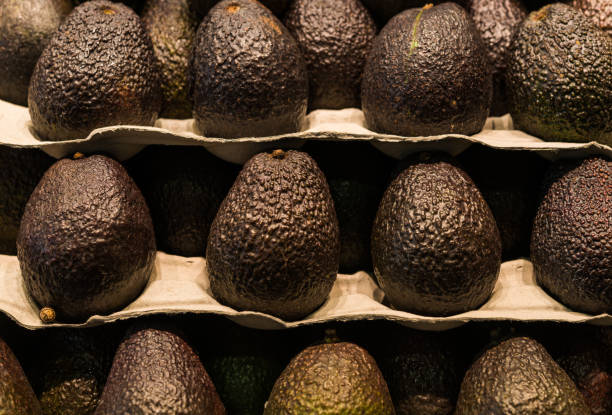 農家市場の屋台で有機アボカドの食品写真をクローズアップ - avocado brown close up dieting ストックフォトと画像
