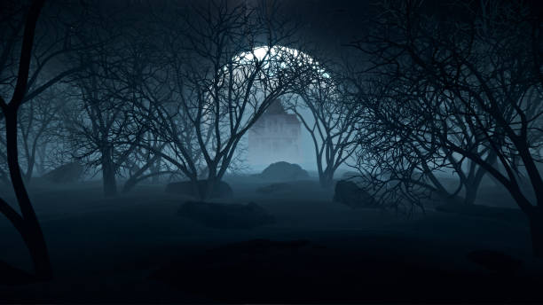 istock Halloween In Night Forests 03 1182167086