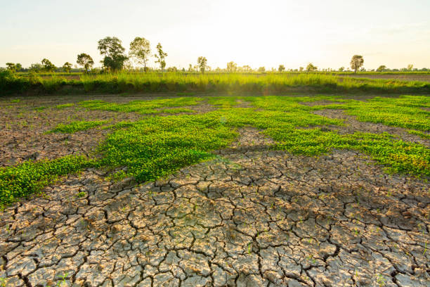 istock The land that is barren and cracked 1182168578