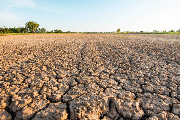 istock The land that is barren and cracked 1182168586