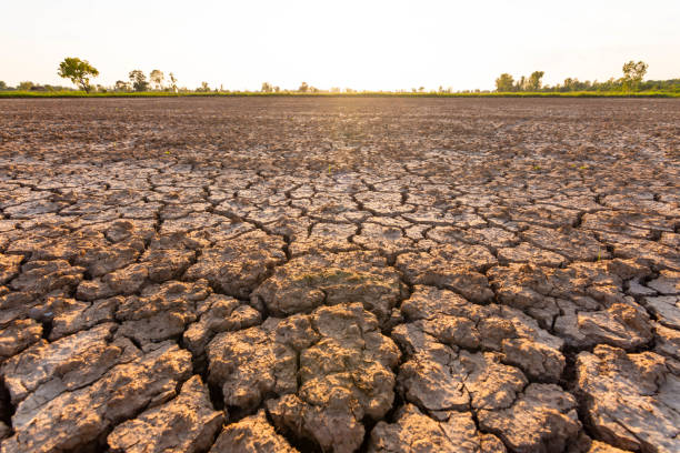 istock The land that is barren and cracked 1182168589
