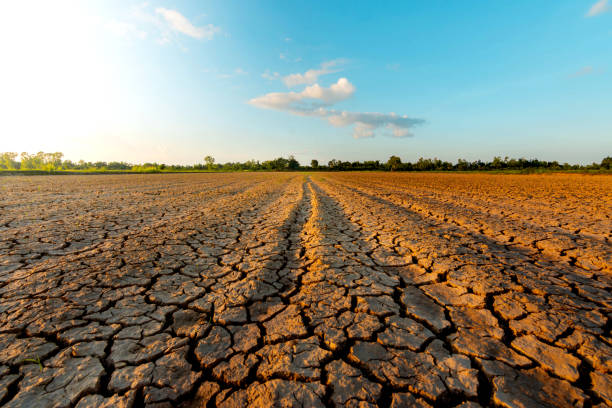 istock The land that is barren and cracked 1182168596