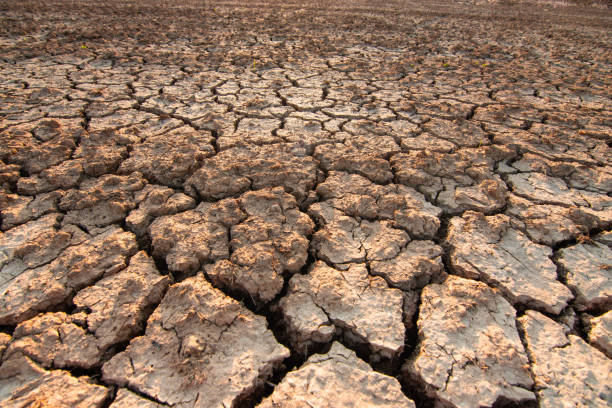 istock The land that is barren and cracked 1182168601