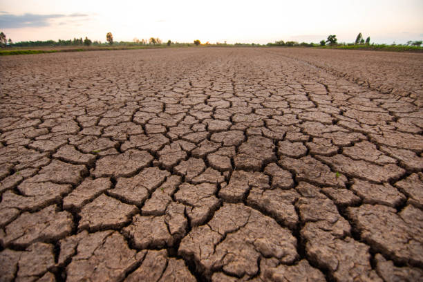 istock The land that is barren and cracked 1182168605