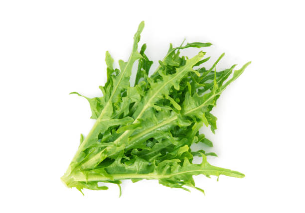 green bowl lettuce isolated on white background, top view, flat lay