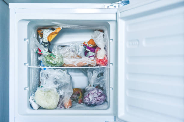 la congelación de los alimentos evita el desperdicio - ice shelf fotografías e imágenes de stock