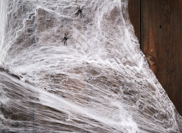 istock white spider web with black spiders on a wooden background from old boards 1182173678