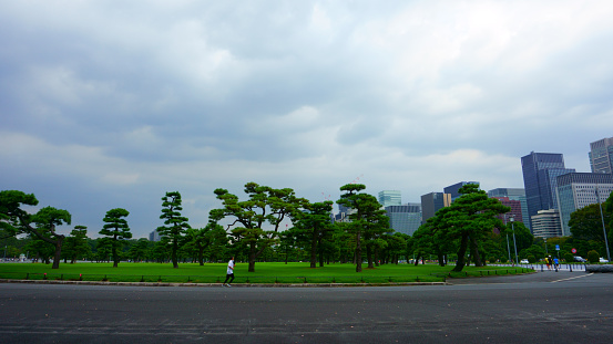 Tokyo / Japan - Sept 17 2018: One of the most popular running spots in Tokyo, the Imperial Palace Run or Imperial Run means running the outer circumference of the Imperial Palace