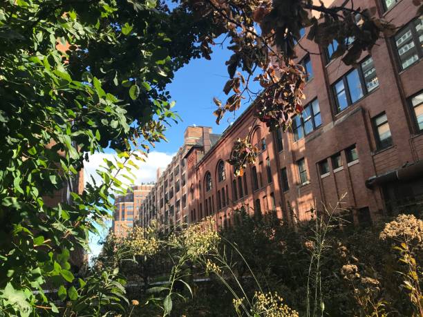 istock The highlines New York 1182175605