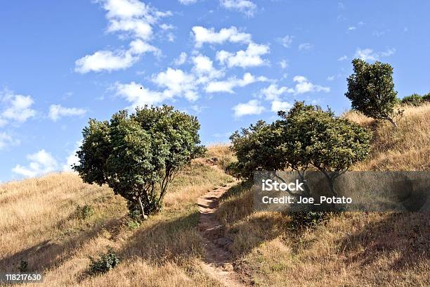 Foto de Califórnia Verão Hills e mais fotos de stock de Azul - Azul, Califórnia, Carvalho - Árvore de folha caduca