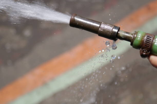 Spray water to the soil and plants using a green hose