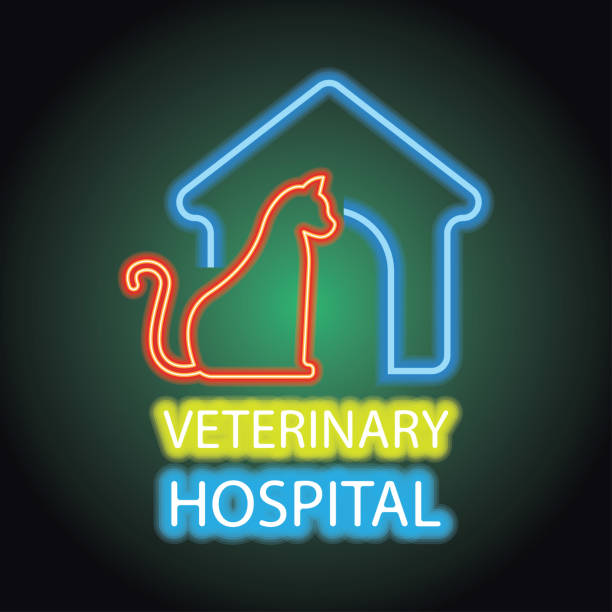 istock Veterinary clinic advertisement plank for animal and veterinary hospital with neon light effect stock illustration 1182187439