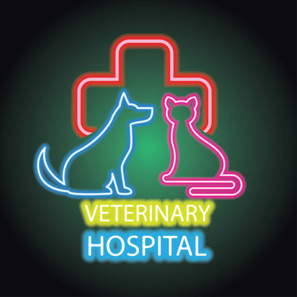 istock Veterinary clinic advertisement plank for animal and veterinary hospital with neon light effect stock illustration 1182187475