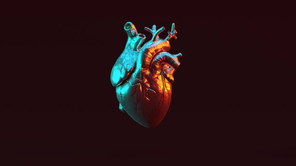 Silver Anatomical Heart with Red Orange and Blue Green Moody 80s lighting Front