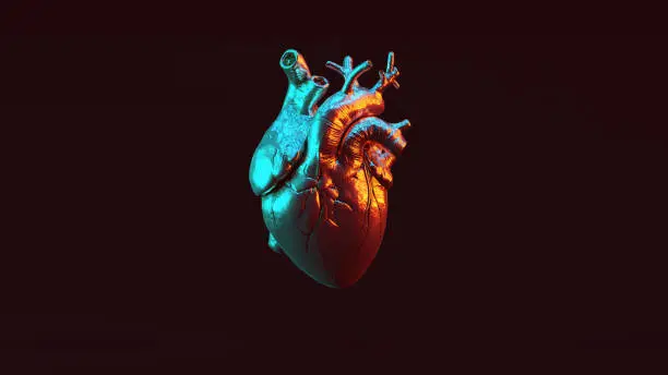 Photo of Silver Anatomical Heart with Red Orange and Blue Green Moody 80s lighting Front