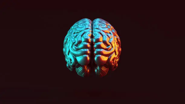Photo of Silver Human brain Anatomical with Red Orange and Blue Green Moody 80s lighting Rear View