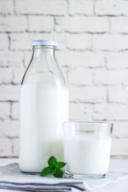 boisson de kéfir de lait probiotique organique ou yaourt dans des récipients en verre, sur le fond gris blanc. la santé intestinale. boisson laitière fermentée à froid probiotique. nourriture et boisson tendance. espace de copie - fungus science bottle glass photos et images de collection