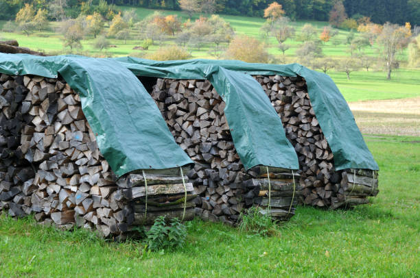 istock stacks of firewood drying on meadow covered with plastic tarps 1182194695