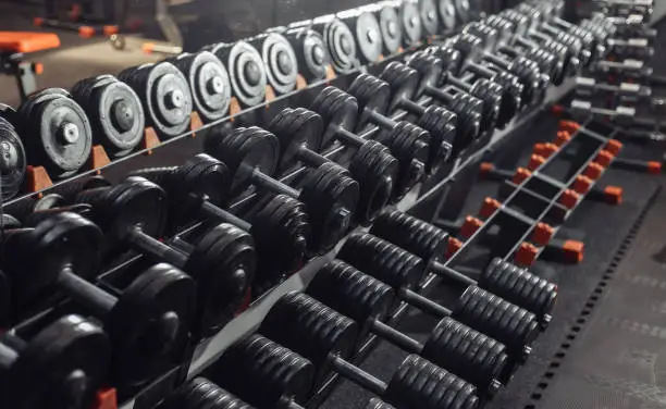Many metal heavy dumbbells on a rack in the gym. Free Weight Training