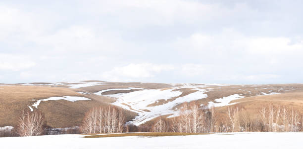 istock Beautiful snowy spring gray landscape 1182198670